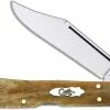 Case Knives Case Mini CopperLock Knife, Smooth Antique Bone, CA-58186